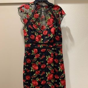 Saylor Rose Embroidered Dress